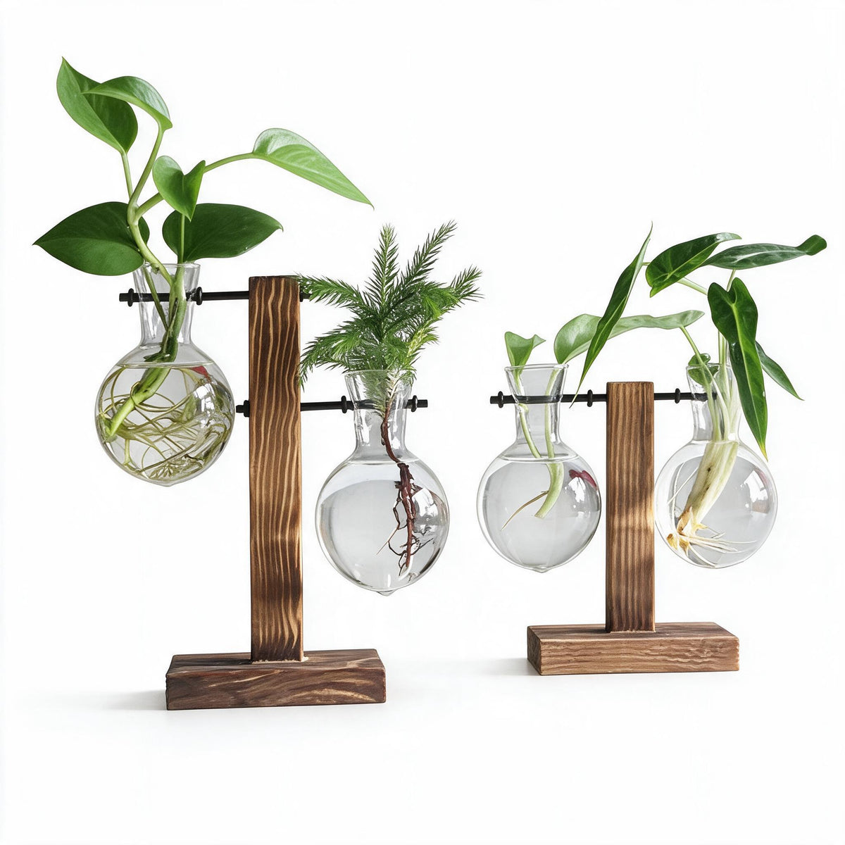 Glass Bulb Plant Vase