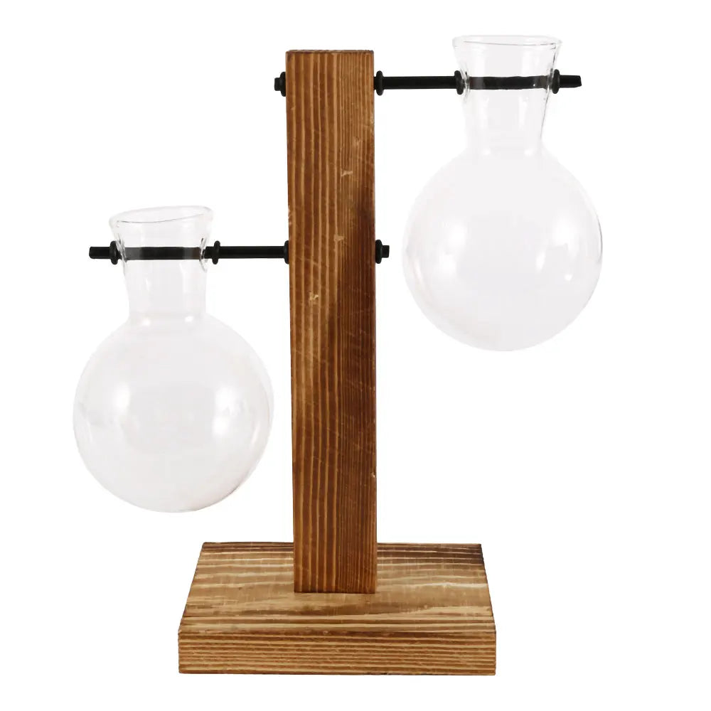 Glass Bulb Plant Vase