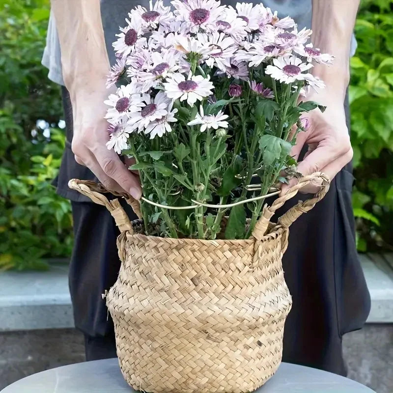 Hanging Plant Holder