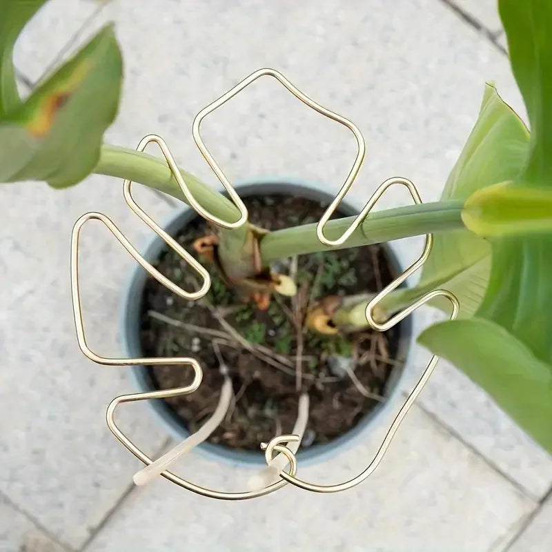 Hanging Plant Holder
