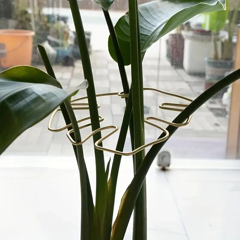 Hanging Plant Holder