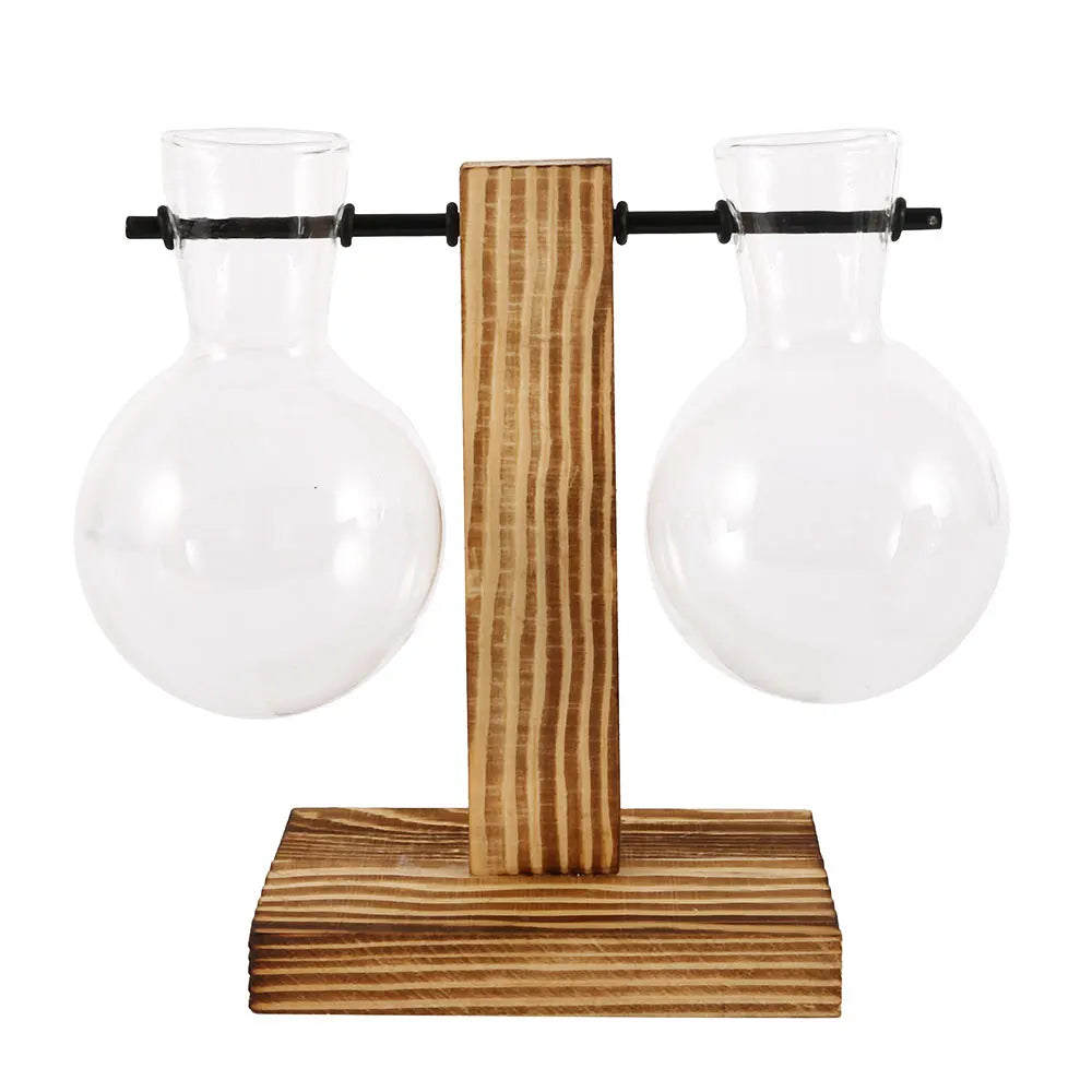 Glass Bulb Plant Vase