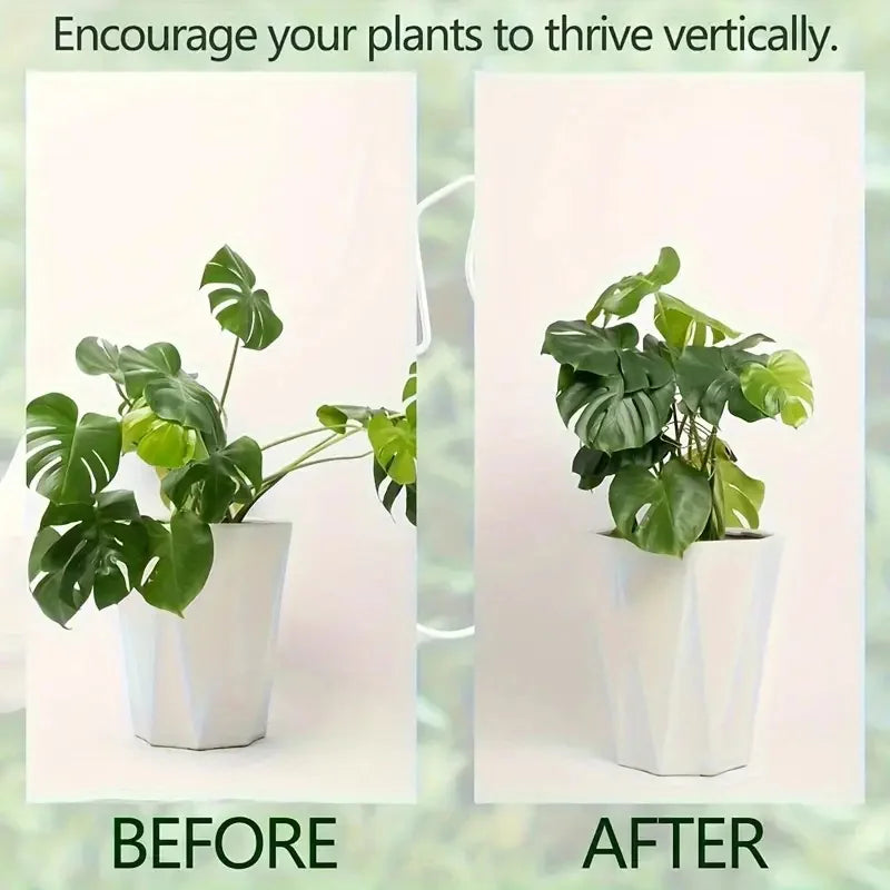 Hanging Plant Holder
