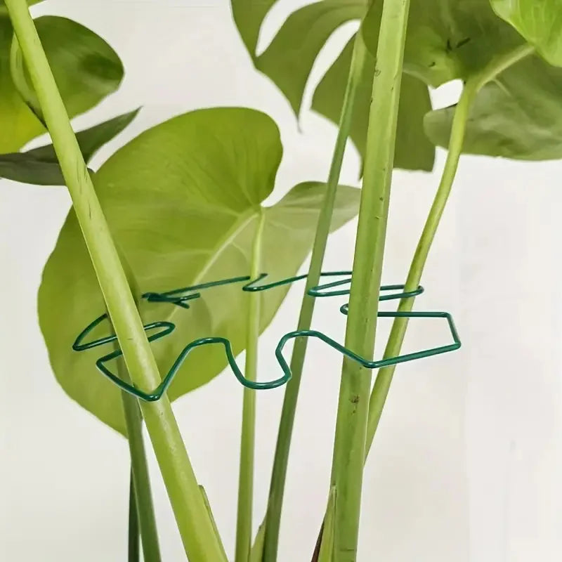 Hanging Plant Holder