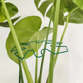Hanging Plant Holder
